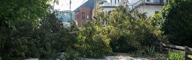Hurricane Card Image