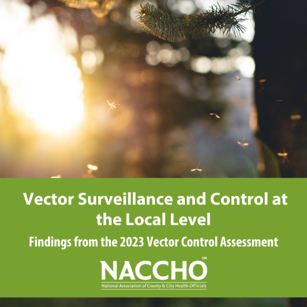 2023 vector assessment