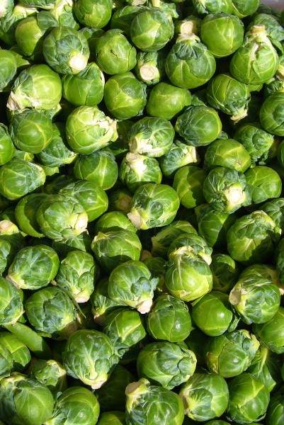 Brussels sprout closeup