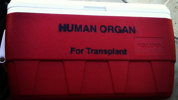 HHS Transplant Update