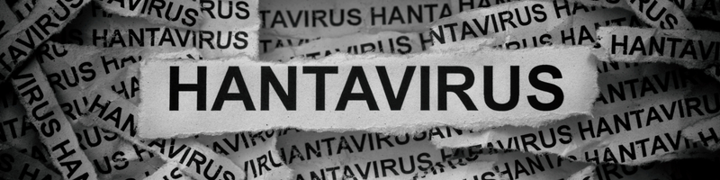 Hantavirus CI