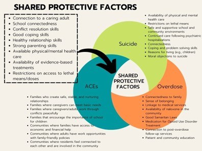 Shared Protective Factors