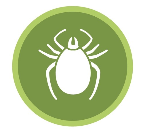 Tick icon