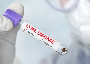 Lyme disease label on a test tube with tick inside i Stock 1223178635