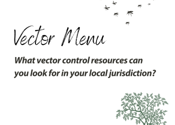 Vector menu social