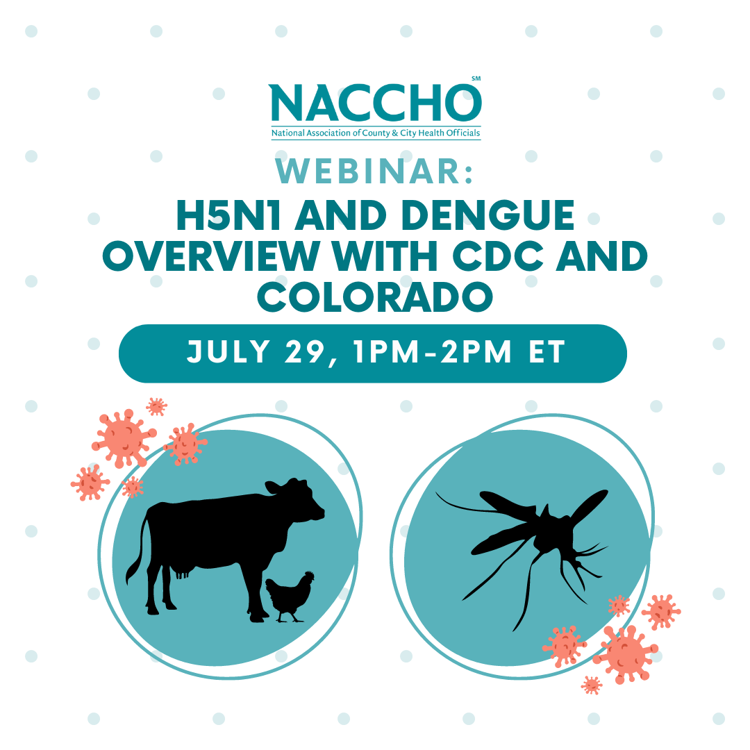 H5 N1 Dengue Webinar Square