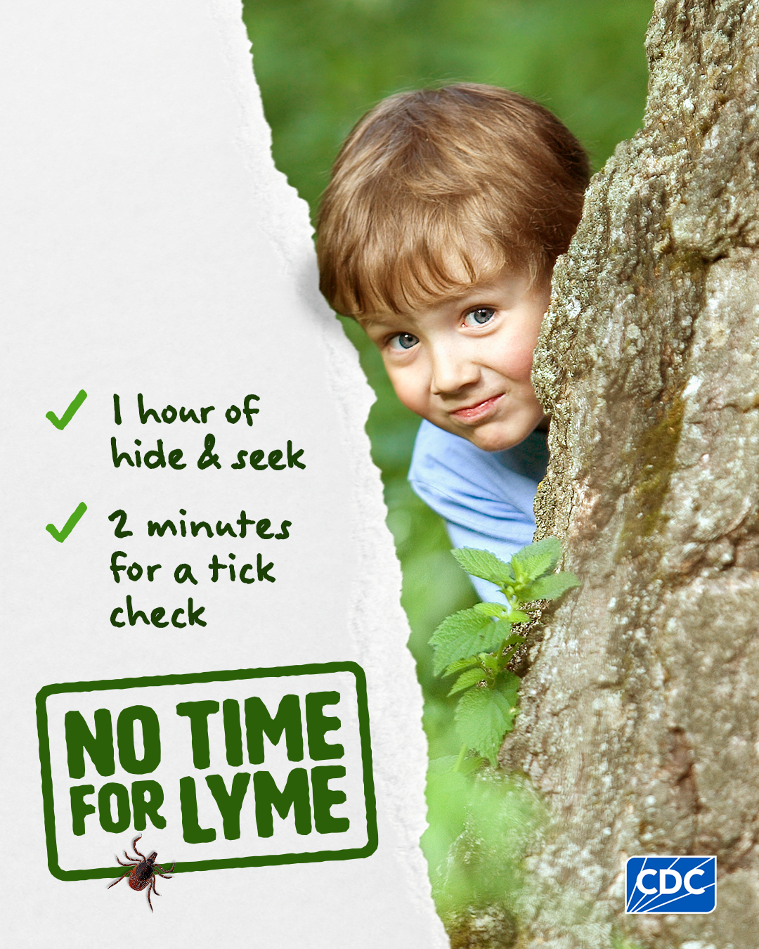  May is Lyme Disease Awareness Month