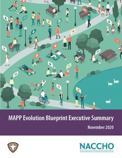 MAPP Evolution Exec Summary Report Cover V1
