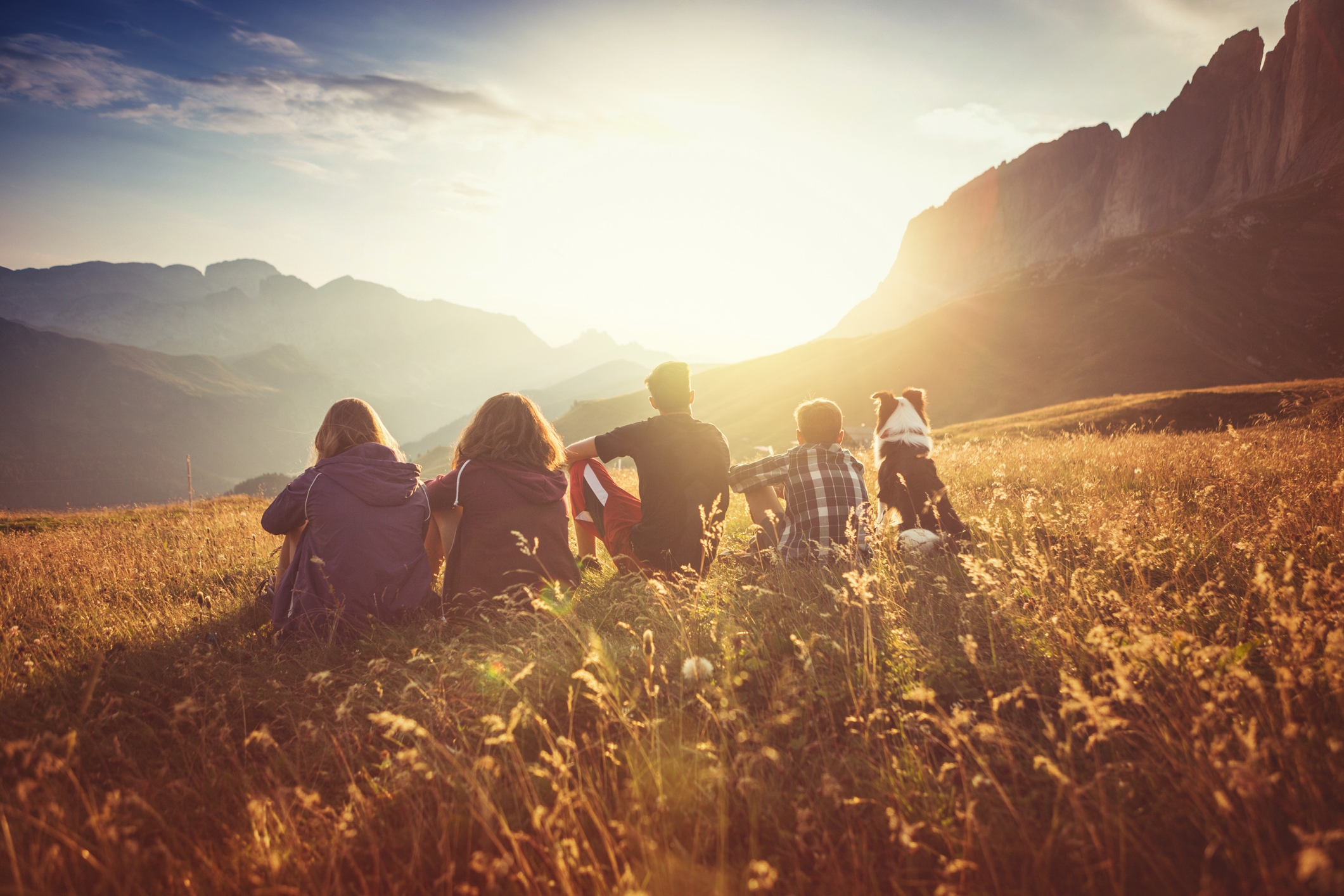 Group of young people with dog on mountain i Stock 485992886