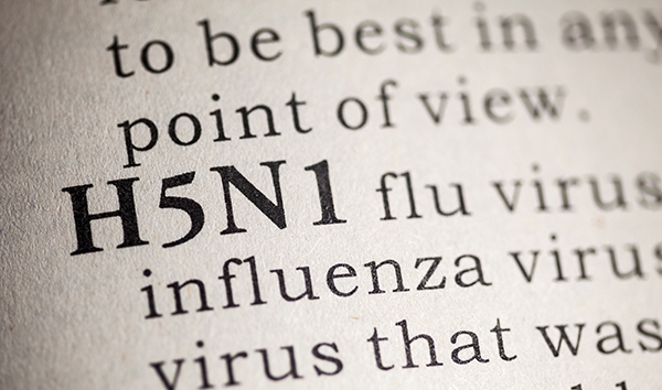 H5 N1