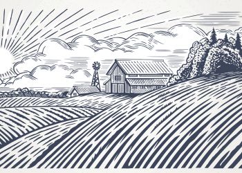 Rural landscape illustration 697308644