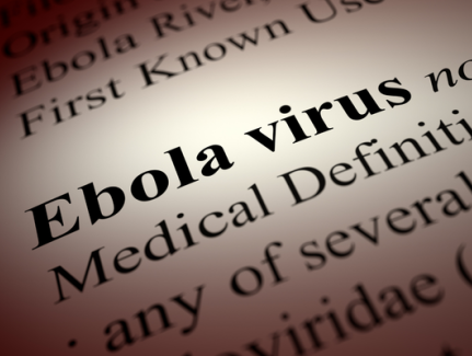Ebola blog
