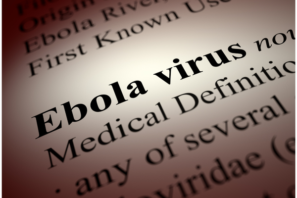 Ebola blog