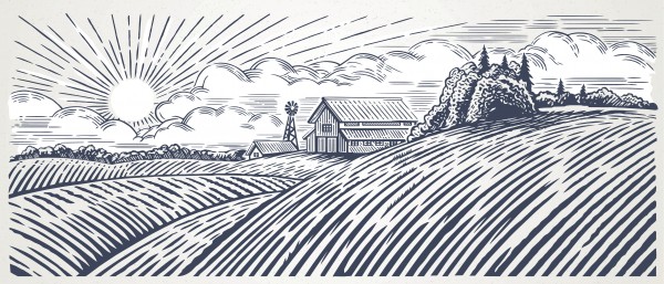 Rural landscape illustration 697308644