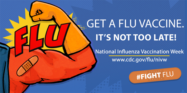 Cdc flu qa nivw